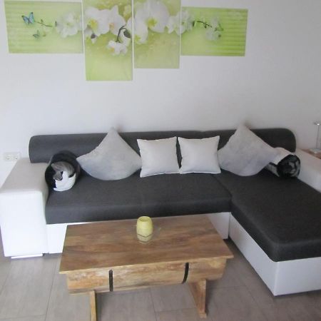Apartament Marienstrasse Neukirchen vorm Wald Zewnętrze zdjęcie